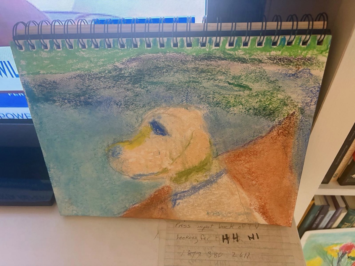 A pastel portrait of a yellow lab in a spiral sketchbook