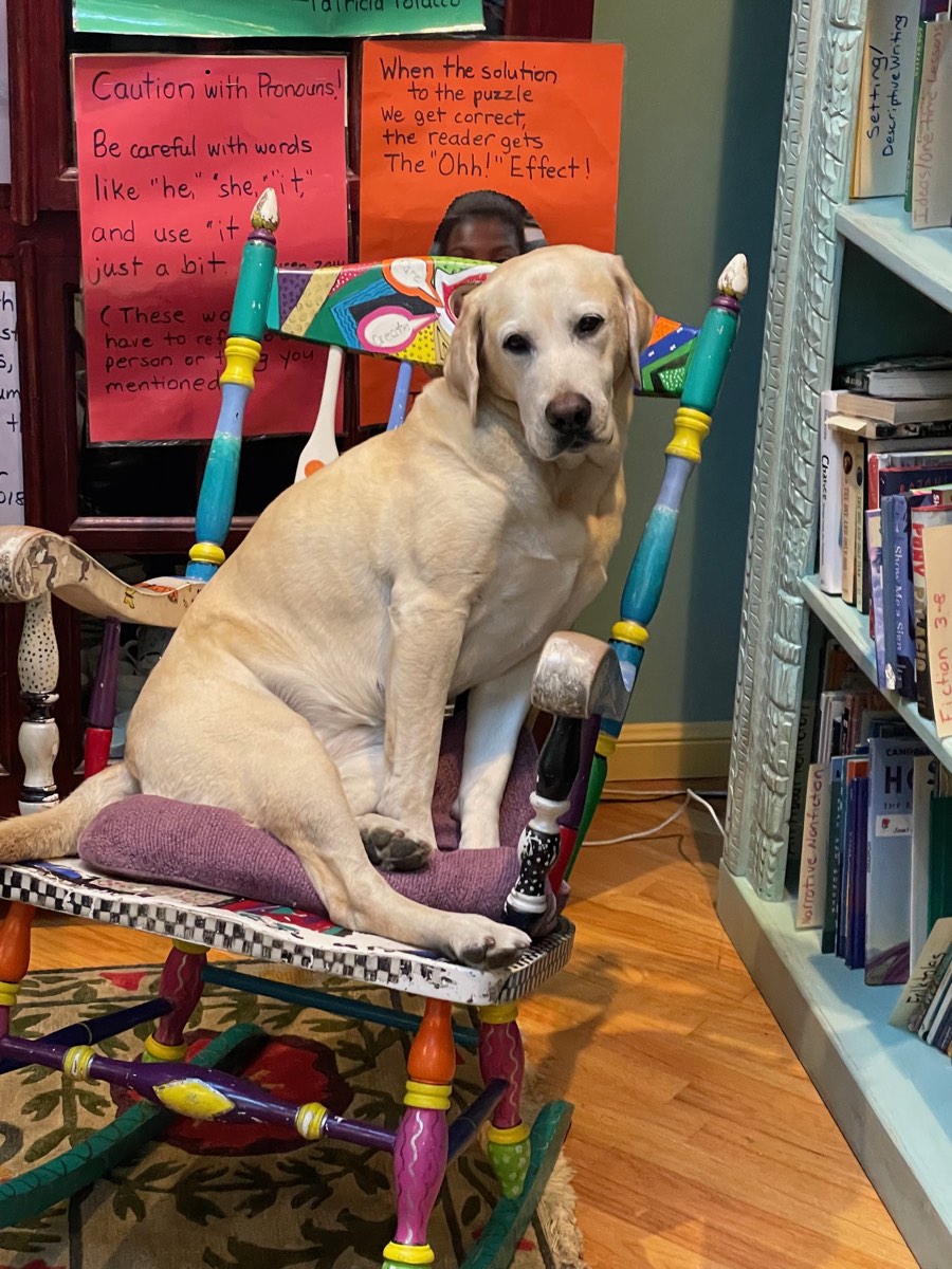 Violet sitting upright on a hand-painted rocking chair in front of writing-lesson posters